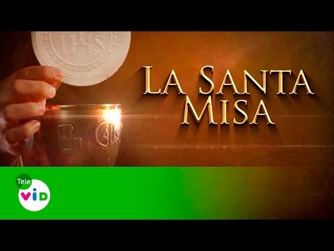 La Santa Misa 1 De Enero De 2016 - Tele VID