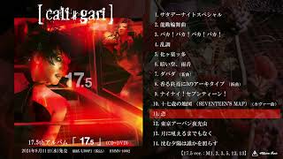 17.5 [CD+DVD] video 1