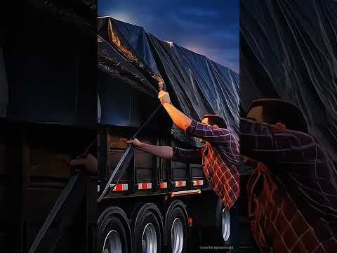 De Rio Verde a Anápolis: O Hino dos Gigantes de Goiás 🇧🇷🪕