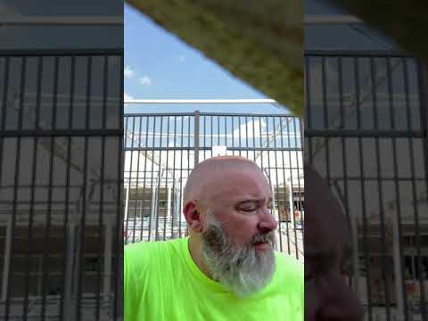 Day 14 Week 3 TMC Transportation Driver Trainer