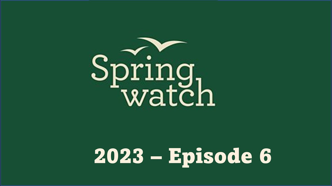 Springwatch 2023  Episode 6