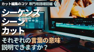 【カット編集のコツシリーズ】第1回 専門用語確認編 『シーン・シーケンス・カットそれぞれが持つ言葉の意味』