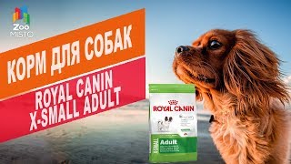 Royal Canin Mini Adult 8 кг (3001080) - відео 1