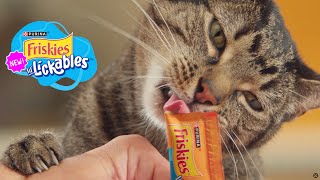 Friskies Lick-Xtremely Delicious - New Lil' Lickable Cat Treats