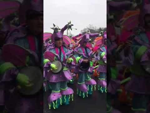 Aqua String Band playing The Night Has A Thousand Eyes