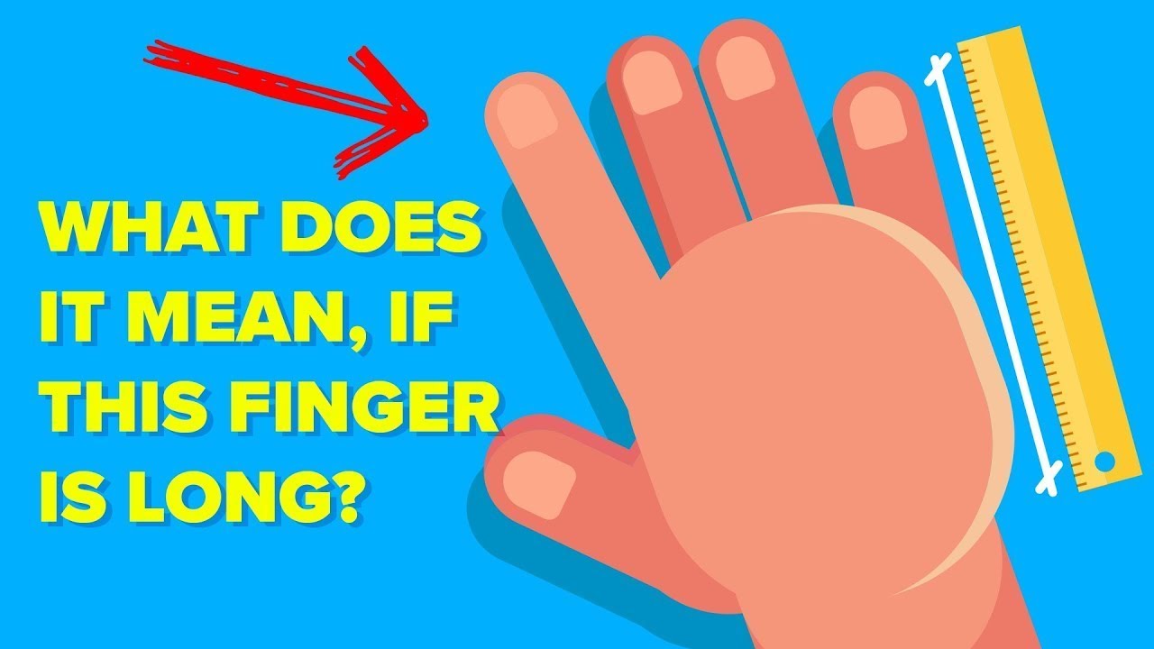 Why Are Your Fingers Different Sizes?