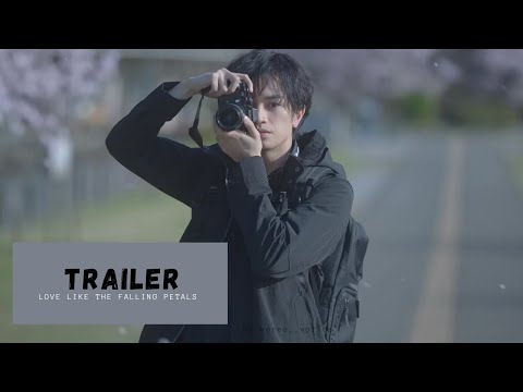 [VOSTFR] | Love Like the Falling Petals - TRAILER | Japonais Drama| Nakajima Kento, Matsumoto Honoka