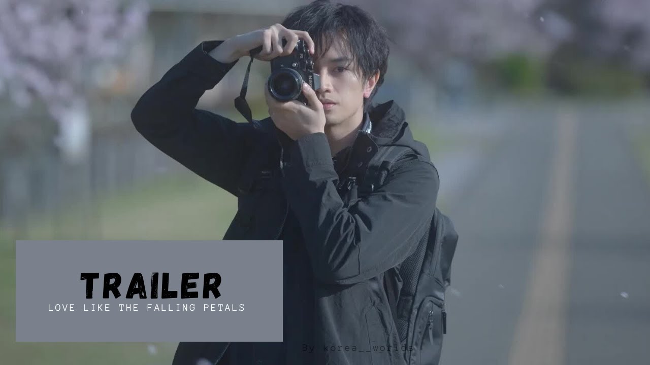 [VOSTFR] | Love Like the Falling Petals - TRAILER | Japonais Drama| Nakajima Kento, Matsumoto Honoka