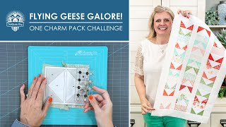 This CHALLENGE didn't go as planned! 🤔 But I still turned it into a Cute Flying Geese Project! 🙌🪿