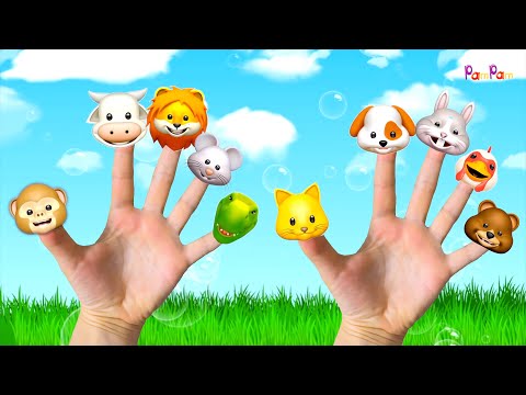 Kedi Parmak Miyav - Köpek Parmak - Parmak Ailesi Hayvanlar - Pam Pam Çocuk Şarkıları