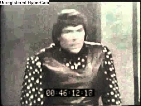 The vejtables  still loving you