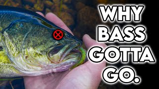 Why I keep bass...and why you should too