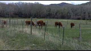 preview picture of video 'Ouray County Road 24 Through Pleasant Valley'