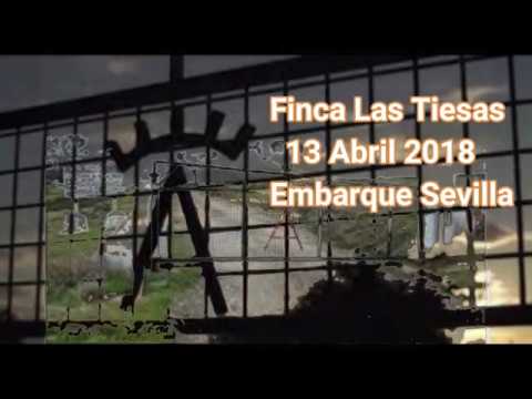 Embarque de los Toros que se lidian en Sevilla el 14 de abril de 2018