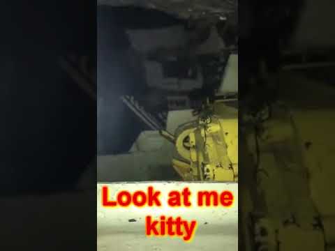 Russian tank officer took his wife out on the field..