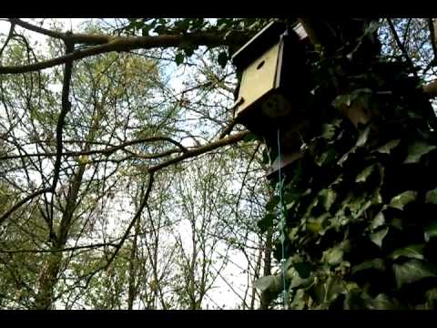 Tweety und Sylvester - Der Rentner T5 - GC2RN99