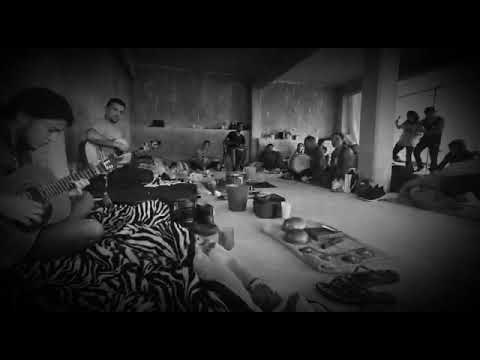 TRIBU GALEZ MD (Cacao power)