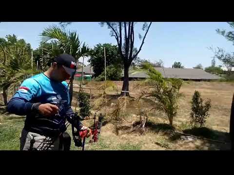 Compound Bow vs Barebow