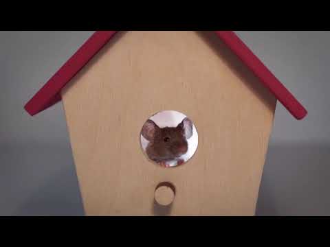 ⁣Bank+Mice - Story About Kindness