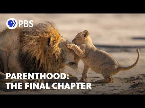 Nature on PBS and Silverback Films