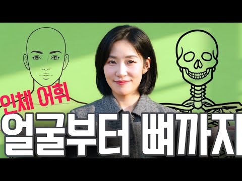 얼굴부터 뼈까지 인체 어휘 (관자놀이, 눈동자, 인중, 단전, 쇄골, 골반, 치골 등)