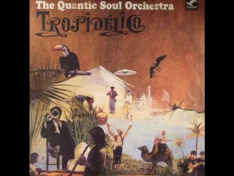 The Quantic Soul Orchestra - Quantic Soul Orchestr