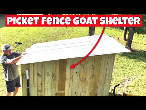 , title : 'Picket Fence Goat Shelter!  DIY Project.  How to Build a Goat Shelter'