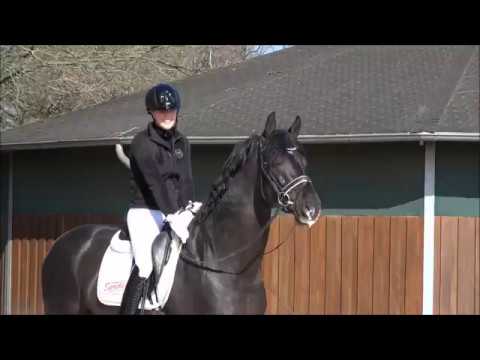 Le Vivaldi - März 2018