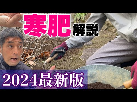 どの菊の肥料を選ぶべきですか？冬になったらどのようにお手入れすればよいでしょうか？  庭園