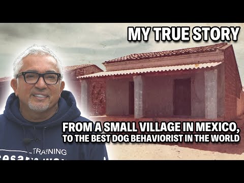 How I Became The Best Dog Trainer In The World | My True Story Part 1
