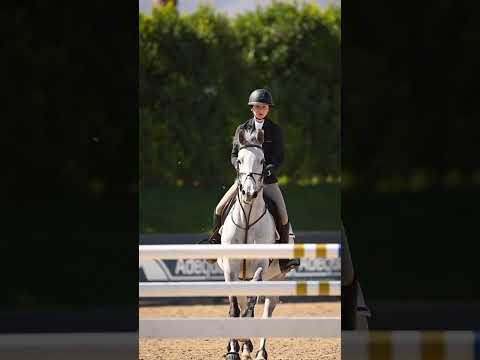 1997 Ford F250 (CC-1933446) for sale in Scottsdale, Arizona