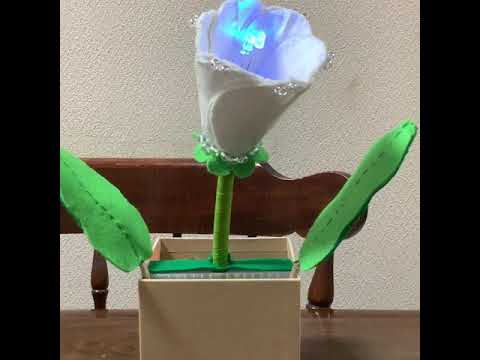 美術学科 はろー！ちゅうりっぷる
