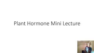 Plant Hormone Mini Lecture
