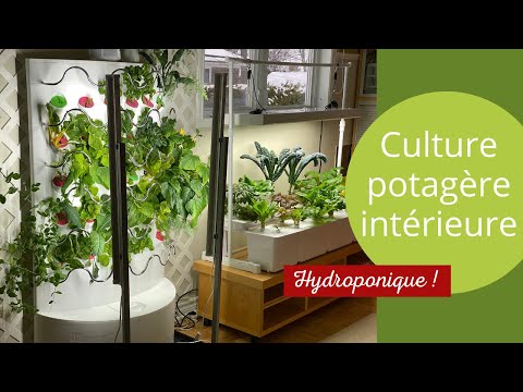 , title : 'Culture potagère hydroponique intérieure -iHarvest-Aerogarden-Eden garden-'
