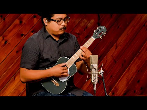 Ortega RUGA-PLT Platinum Grey ukulele tenorowe