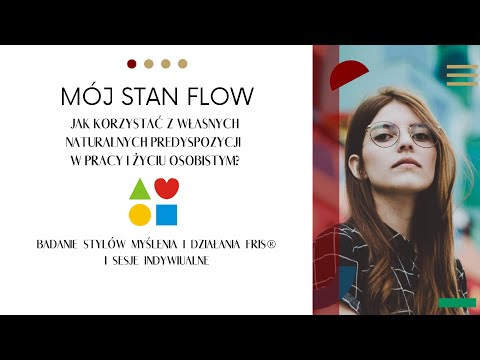 FRIS Style Myślenia i Działania - badanie, raport i sesje indywidualne