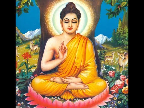 THE STORY OF PAKATI AND ANANDA || INTRESTING STORY || INSPIRATIONAL STORY || MOTIVATIONAL STORY ||