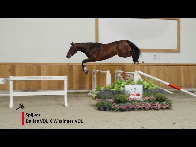 Spijker