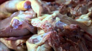 Dia de Amigos Santa Maria Açores 2012