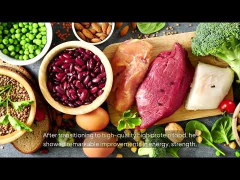 The Best High-Protein Dog Food for Active Breeds — A Complete Guide