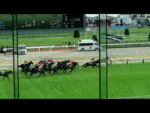 【1.5倍ズームUP】第84回優駿牝馬 オークスGⅠ ➄リバティアイランド圧勝 2023.05.21 東京競馬場メモリアルスタンド4階80番