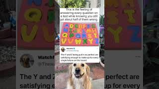 Not as bad as when you put the same answer in repeatedly 