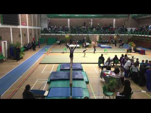 PE Southern Finals Ani Balance Beam 2016