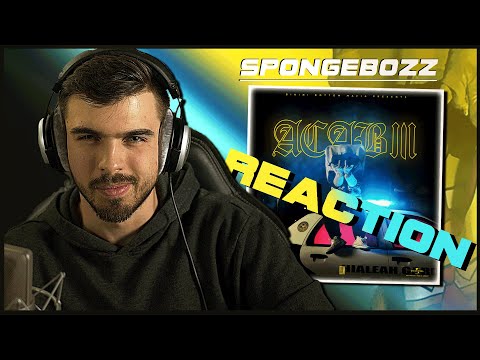 Technikgewitter! SpongeBOZZ – A.C.A.B. III | REACTION