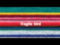 City and Colour - Fragile Bird 