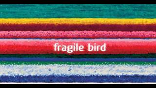 City and Colour - Fragile Bird