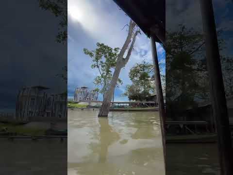 Laguna de Yarinacocha 🌴 / Pucallpa - 🇵🇪 #peru #pucallpa #travel #love