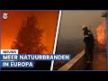 Nieuwe natuurbranden uitgebroken: ook Tenerife getroffen