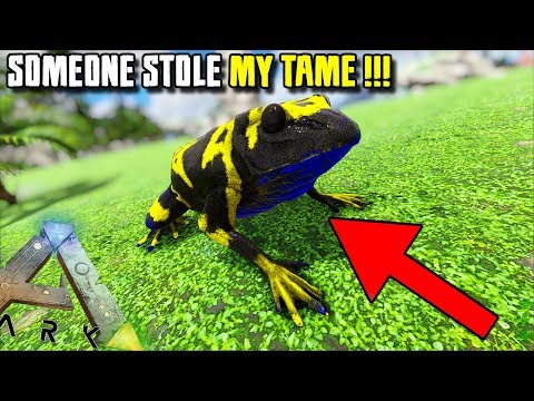 SOMEONE STOLE MY TAME !! | JURASSIC ARK | ARK SURVIVAL EVOLVED [EP84]
