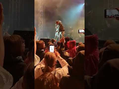 Pipschips&videoclips i Darko Rundek - Plači   Live Šalata, 10.09.2022.